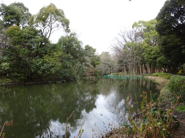 東京都杉並区大宮２丁目２３ 和田堀館の写真1