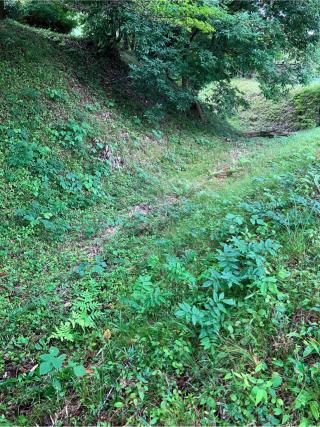 山根城の登城記録(監督さん)