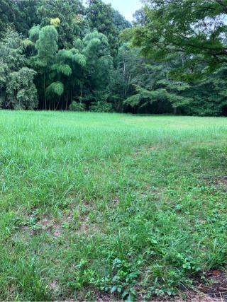 山根城の登城記録(監督さん)