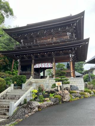 村山城の登城記録(監督さん)