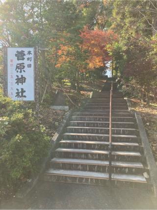 殿ノ城（井出沢城）の登城記録(監督さん)