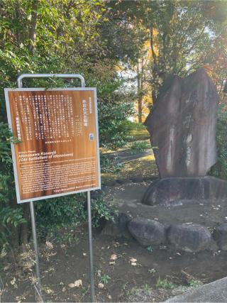 殿ノ城（井出沢城）の登城記録(監督さん)