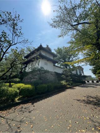 高崎城の登城記録(無極さん)