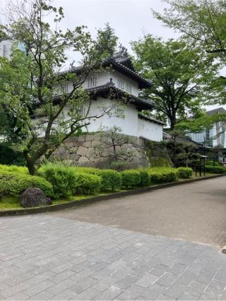 高崎城の登城記録(監督さん)