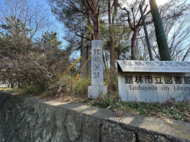 群馬県館林市城町 館林城の写真2