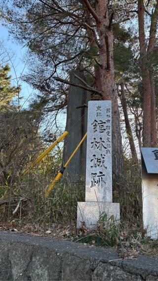 館林城の登城記録(みねさん)
