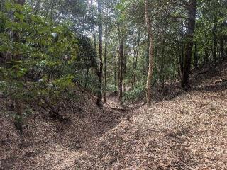 山下城の登城記録(千　百万さん)