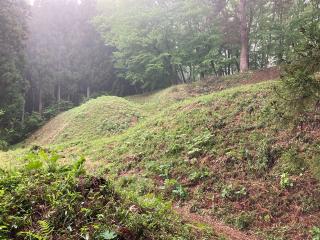 岩櫃城の登城記録(ジョニーさん)