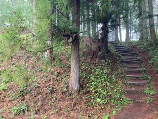 岩櫃城の登城記録(ジョニーさん)