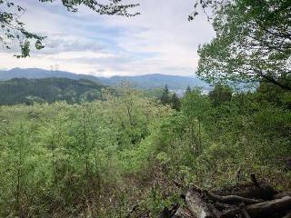 岩櫃城の登城記録(syuさん)