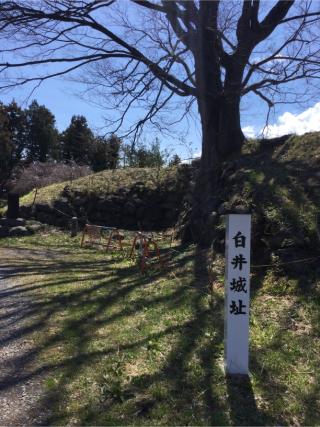 白井城の登城記録(アキラさん)