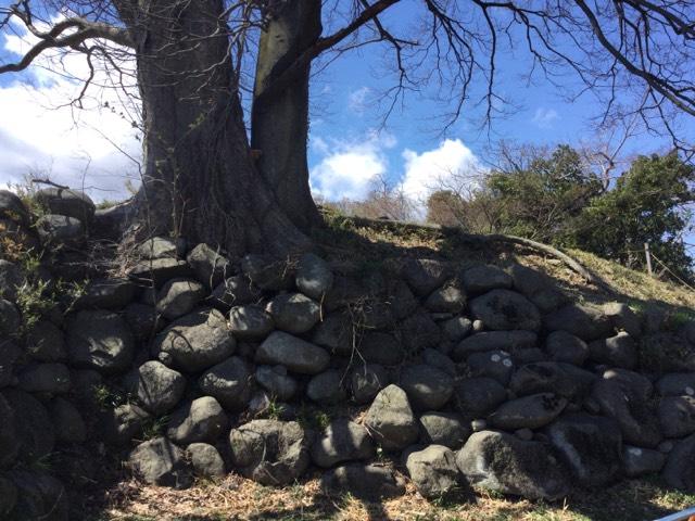 群馬県渋川市白井５８１ 白井城の写真2