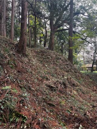 武茂城の登城記録(やさかさん)