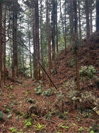 武茂城の登城記録(やさかさん)