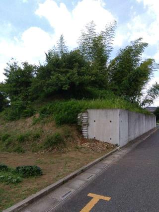 丸ヶ崎館の登城記録(こばやんさん)