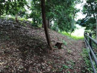 伊達城（大和田陣屋）の登城記録(けいいちさん)