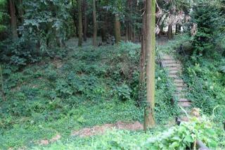 膳城の登城記録(こにーさん)