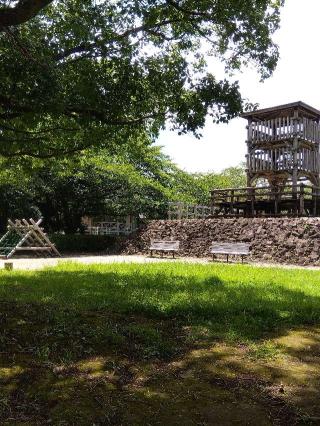 丸城の登城記録(こばやんさん)