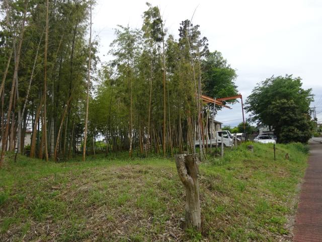 菅谷北城の写真1