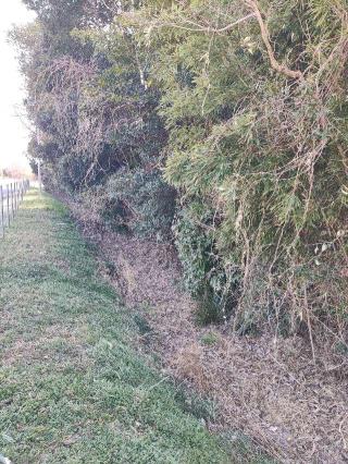 鐘撞山（油井城、油井ヶ島城）の登城記録(マリリさん)