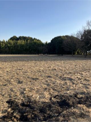 鐘撞山（油井城、油井ヶ島城）の登城記録(監督さん)