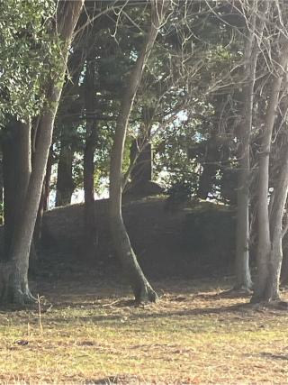 鐘撞山（油井城、油井ヶ島城）の登城記録(監督さん)