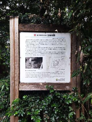 加納城の登城記録(マリリさん)