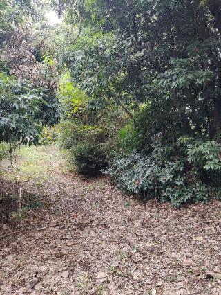 加納城の登城記録(マリリさん)