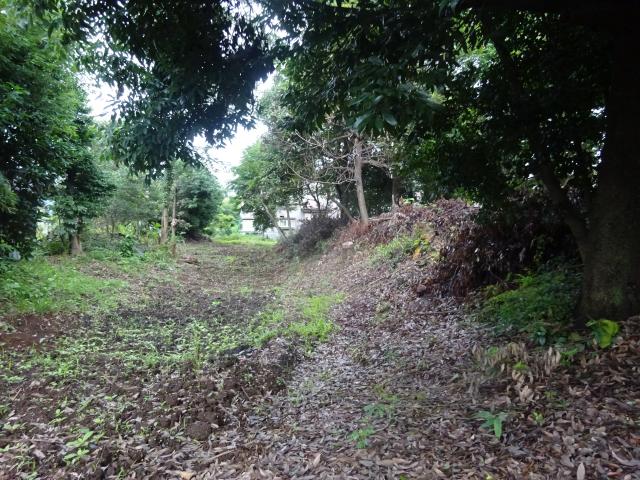 埼玉県桶川市加納2044 加納城の写真1