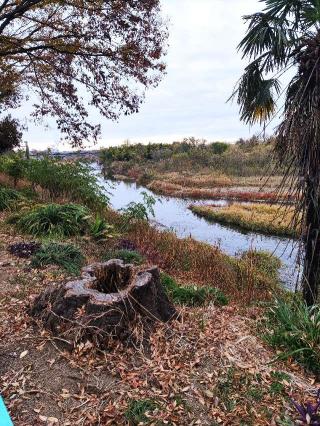 倉賀野城の登城記録(マリリさん)