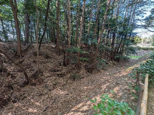 大和田城の写真1