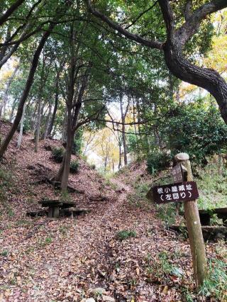 根小屋城の登城記録(マリリさん)