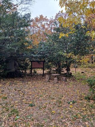 根小屋城の登城記録(マリリさん)