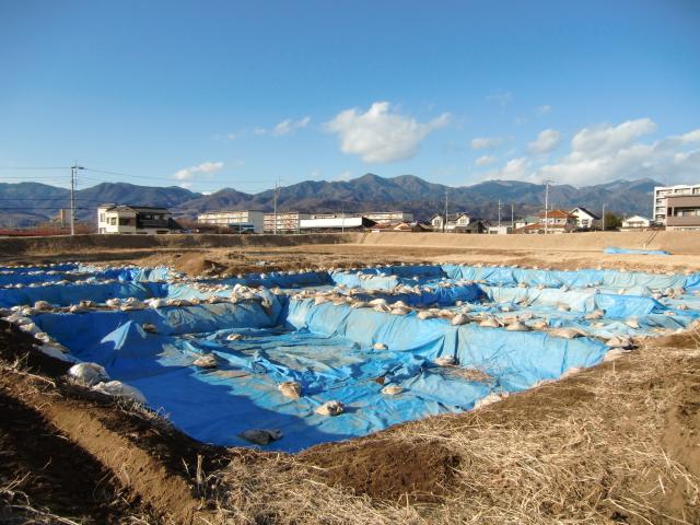 連方屋敷の写真1