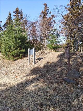 笹尾砦（笹尾城）の登城記録(マリリさん)