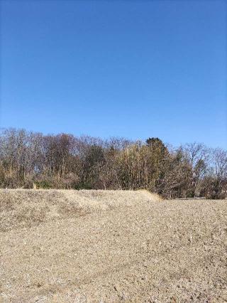 深草館の登城記録(マリリさん)