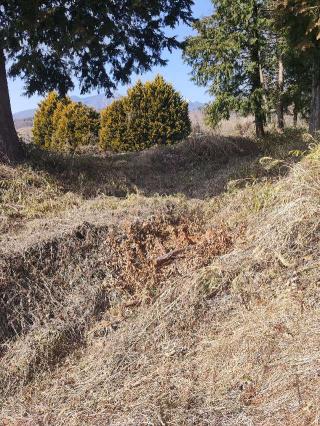 古宮城の登城記録(マリリさん)