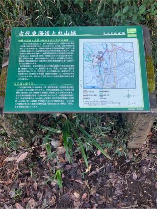 黒川丸山城（丸山城）の登城記録(監督さん)