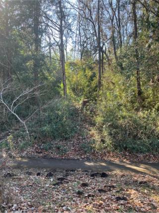 黒川丸山城（丸山城）の登城記録(監督さん)