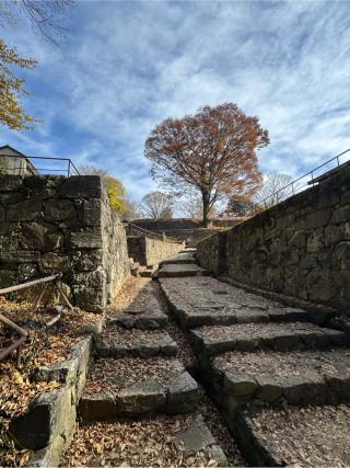 新田金山城の登城記録(無極さん)