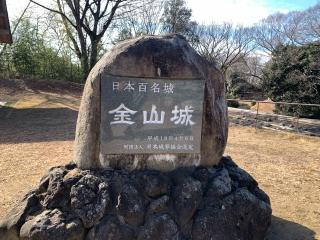 新田金山城の登城記録(マッサルさん)