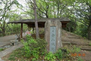 新田金山城の登城記録(はたしんさん)