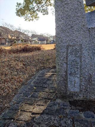 種垂城（種足城）の登城記録(マリリさん)