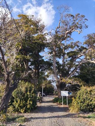 渡辺氏屋敷の登城記録(マリリさん)