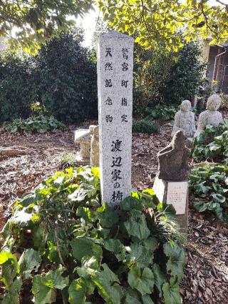 渡辺氏屋敷の登城記録(マリリさん)