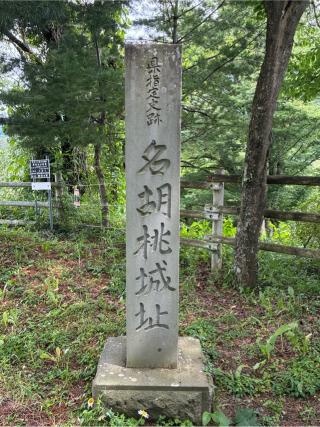 名胡桃城の登城記録(Mr.Poohさん)