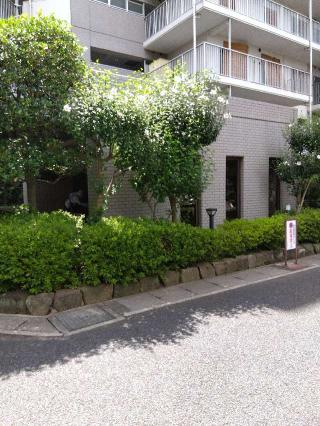 曽我殿館（曽我殿屋敷）の登城記録(こばやんさん)