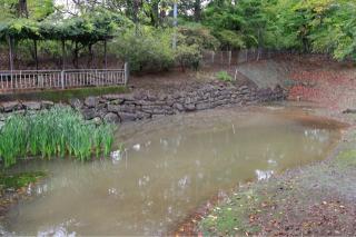 沼田城の登城記録(こにーさん)