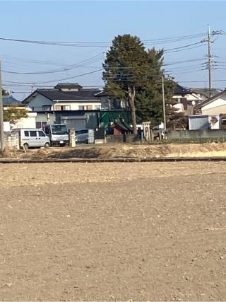 巻島氏屋敷（巻島主水助屋敷）の登城記録(監督さん)