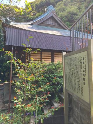 長尾城（長尾台の塁・長尾砦・長尾台城）の登城記録(監督さん)